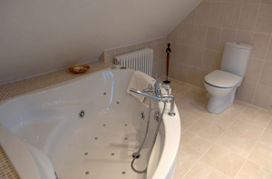 Bath and toilet in loft conversion bathroom