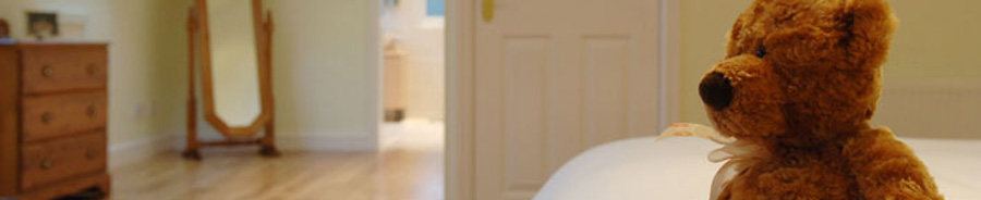 Teddy bear on bed in loft conversion